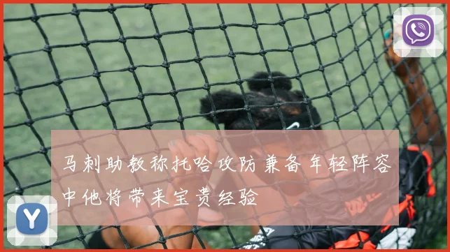 马刺助教称托哈攻防兼备年轻阵容中他将带来宝贵经验