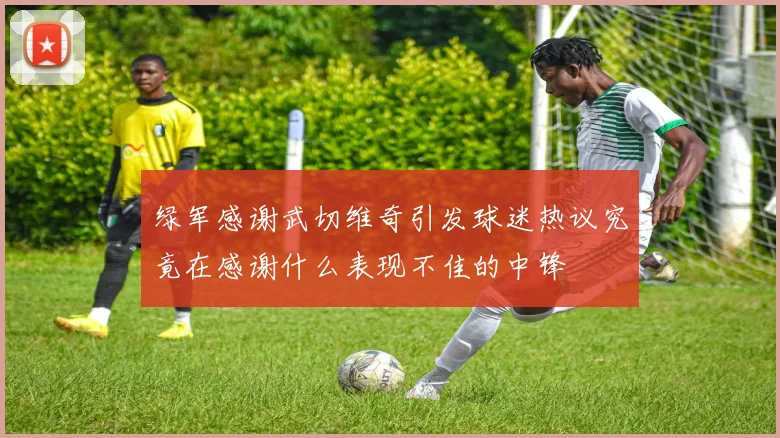 绿军感谢武切维奇引发球迷热议究竟在感谢什么表现不佳的中锋