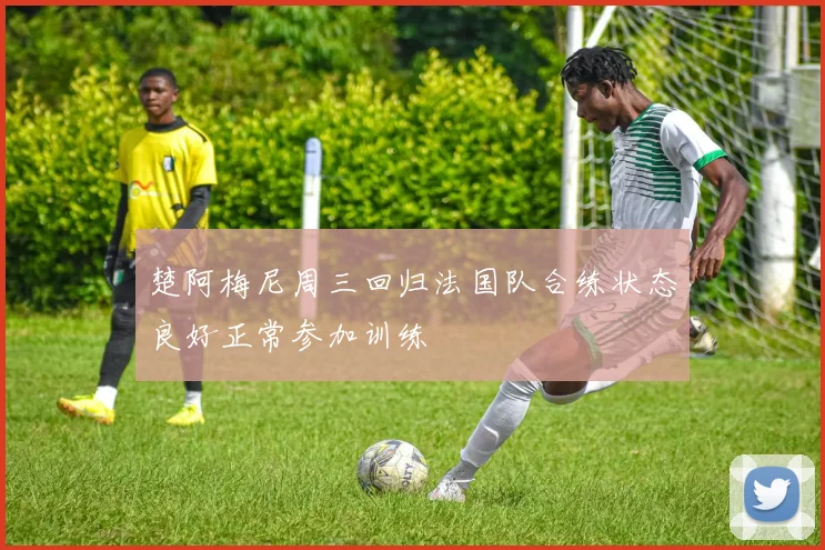 楚阿梅尼周三回归法国队合练状态良好正常参加训练